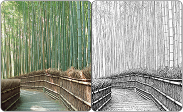 山の風景写真と線画